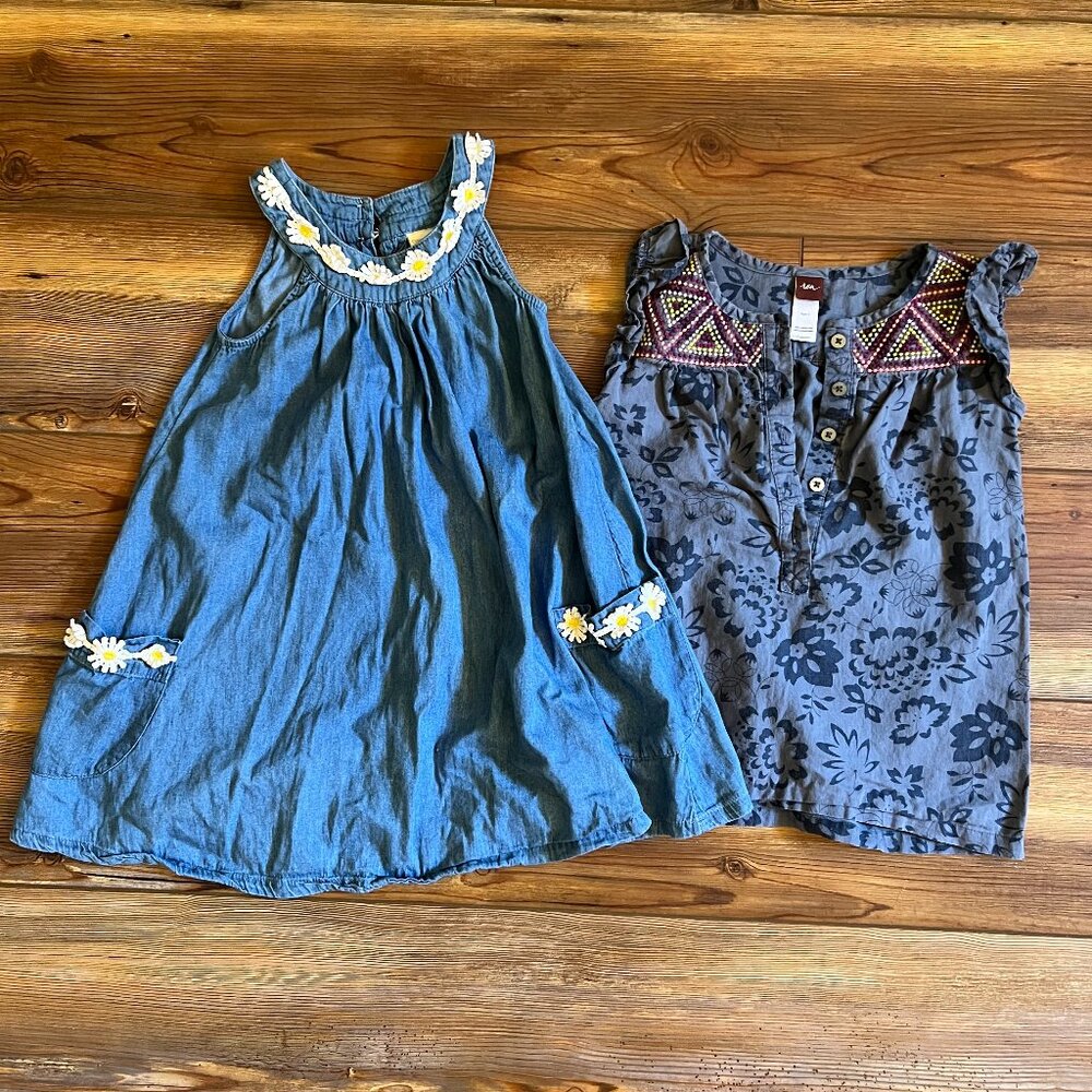 Lot of Little Girl Summer Dresses Size 5 (2 pieces)